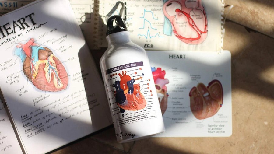 Canine Body System Sports Jug Set product image (9)