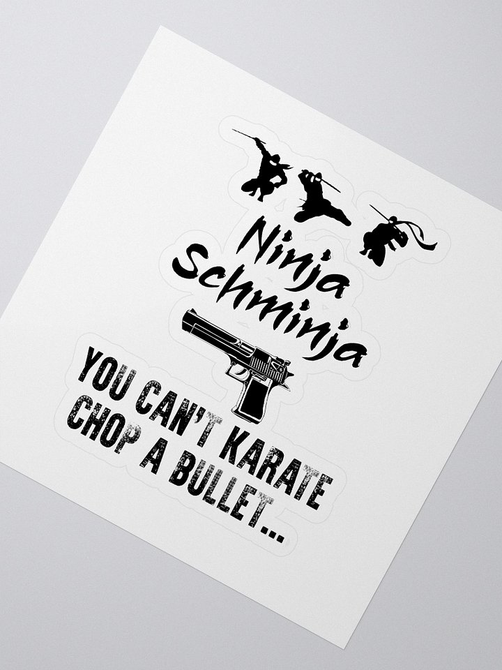 Ninja Schminja product image (2)