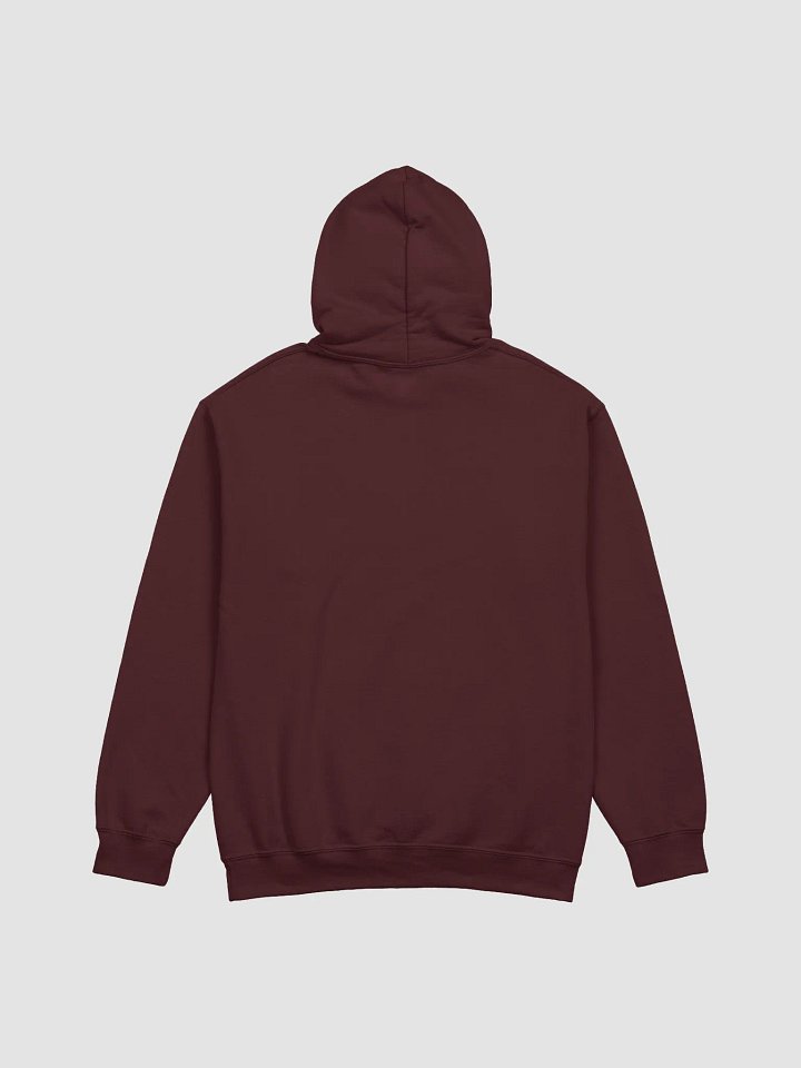 C33 Vintage Hoodie product image (19)