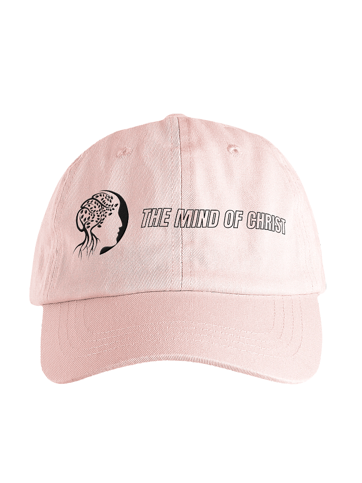 Pastel Party Dad Hat product image (2)