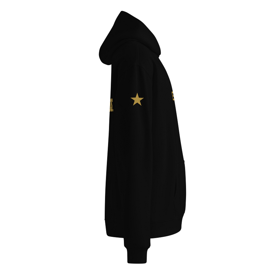 Branded GZ JEITEN Hoodie | Fruits Of The Spirit Edition (Goodness) product image (4)