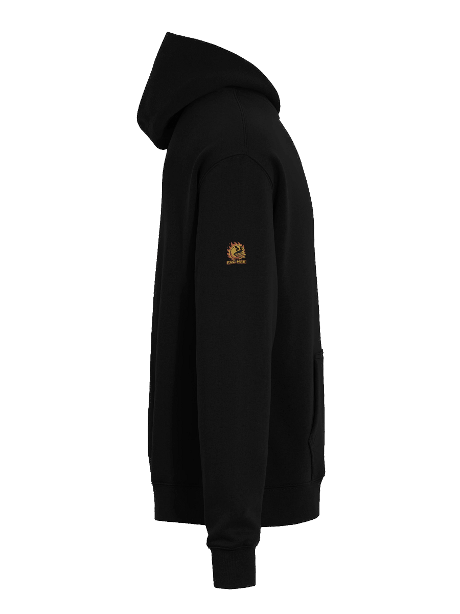 Flaming Coin Eater Hoodie product image (8)