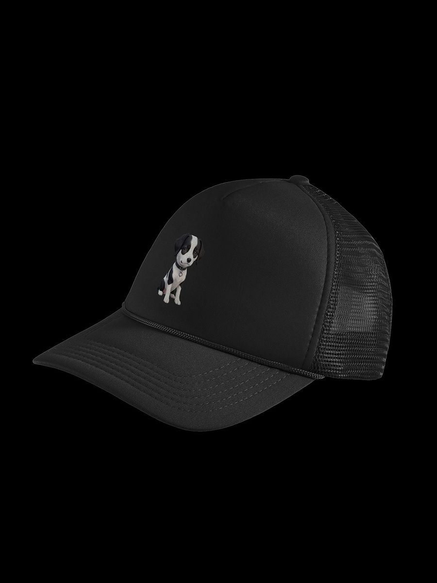 WallE Hat product image (4)