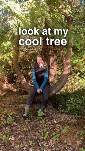 Check out my cool tree

#treelovers #treeoflife #foresthome #cabininthewoods #utree