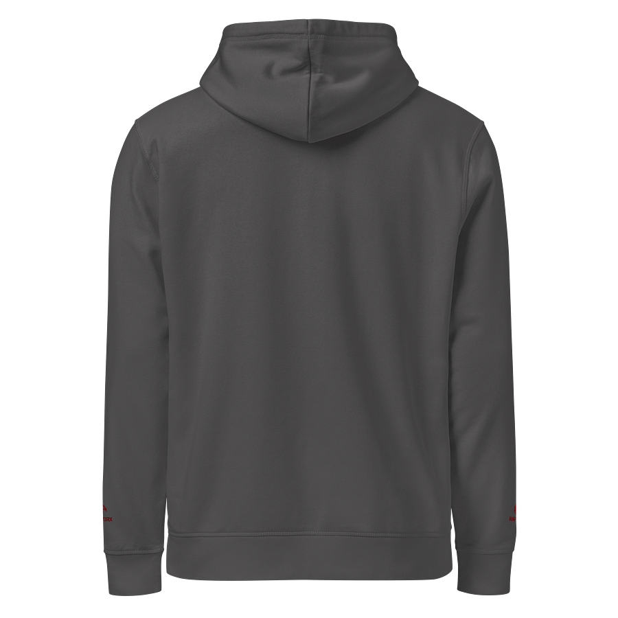 RaptorX Bold Maroon Hoodie product image (23)