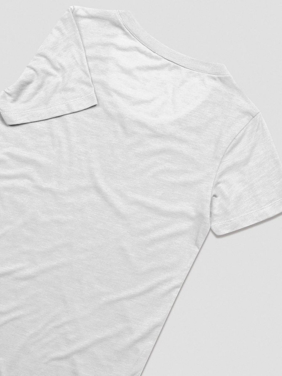 Vintage University T-Shirt (Women's Triblend) product image (8)