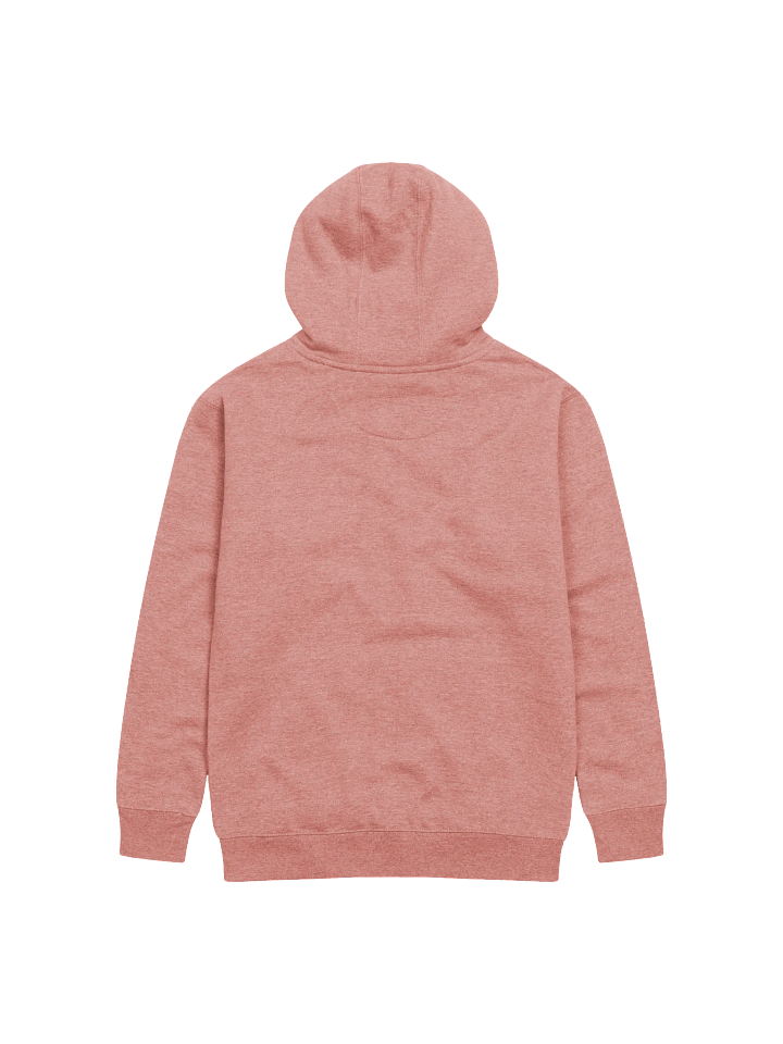 Big Buck Boys Unisex Hoody product image (8)