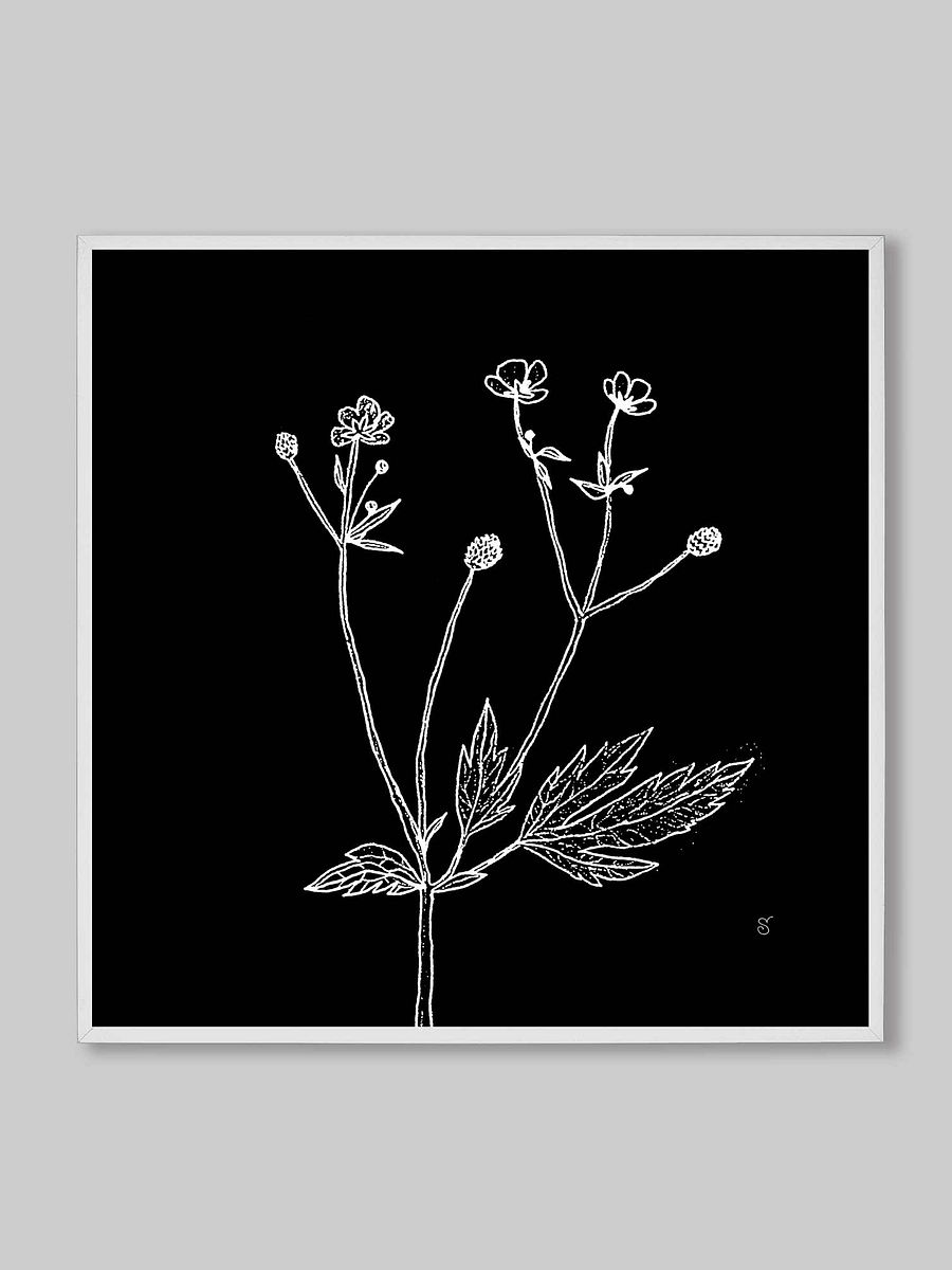 Botanical Reverie Canvas Prints - Wild Flowers Dark product image (11)