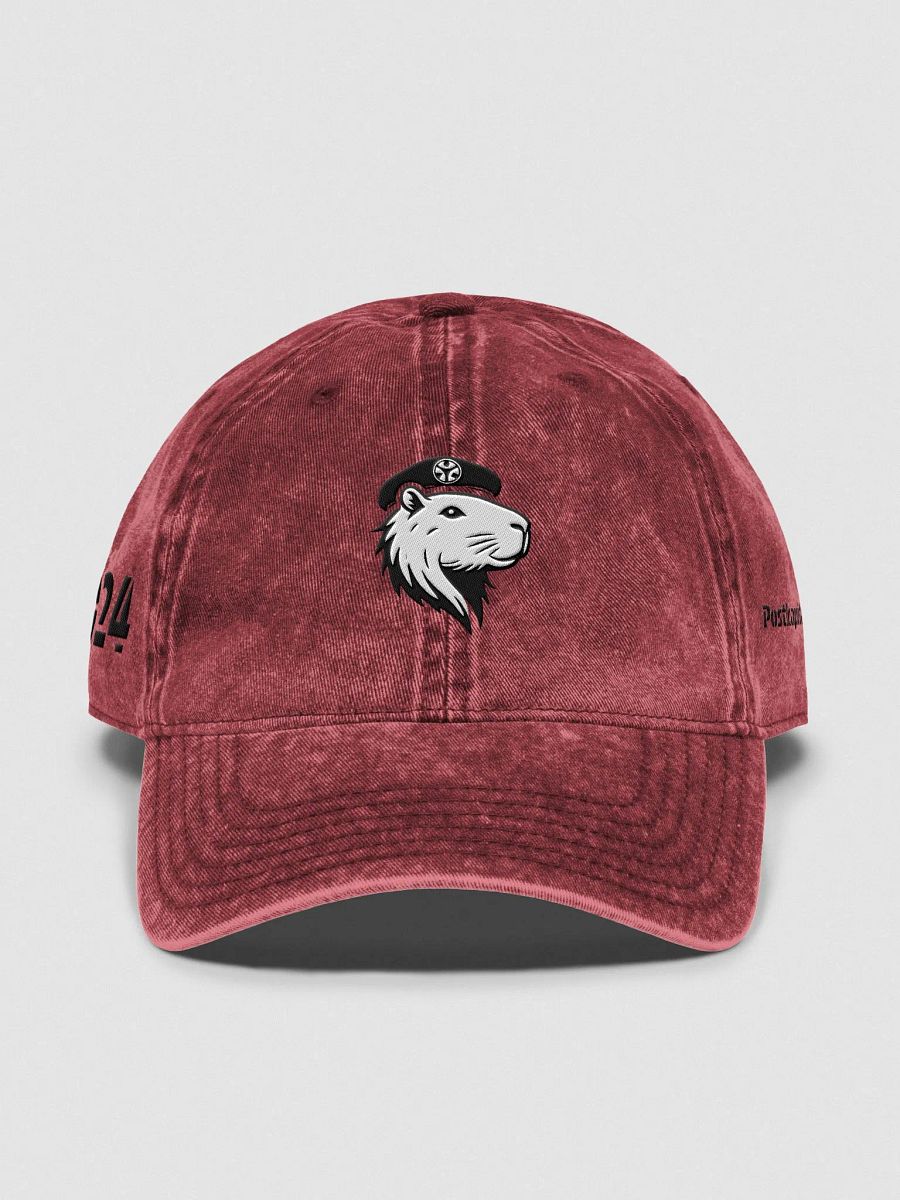PoKa Symbio Vintage Wash Hat - 2024 product image (1)