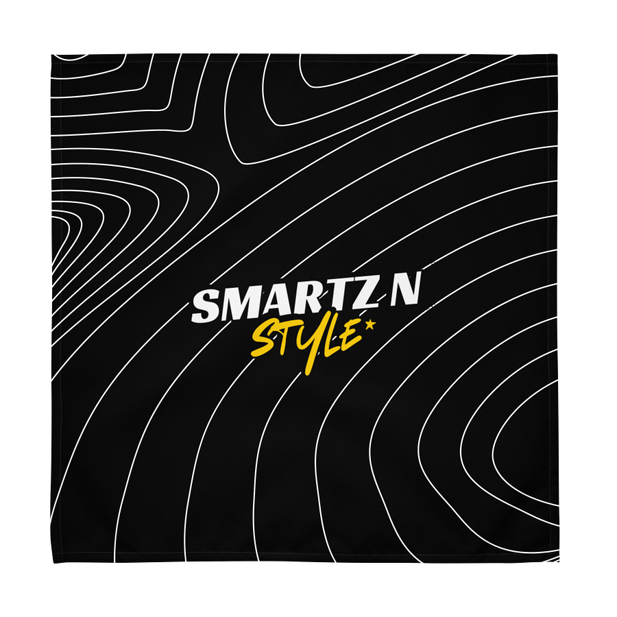 Smartz N Style Cloth Napkin Set (4) product image (3)