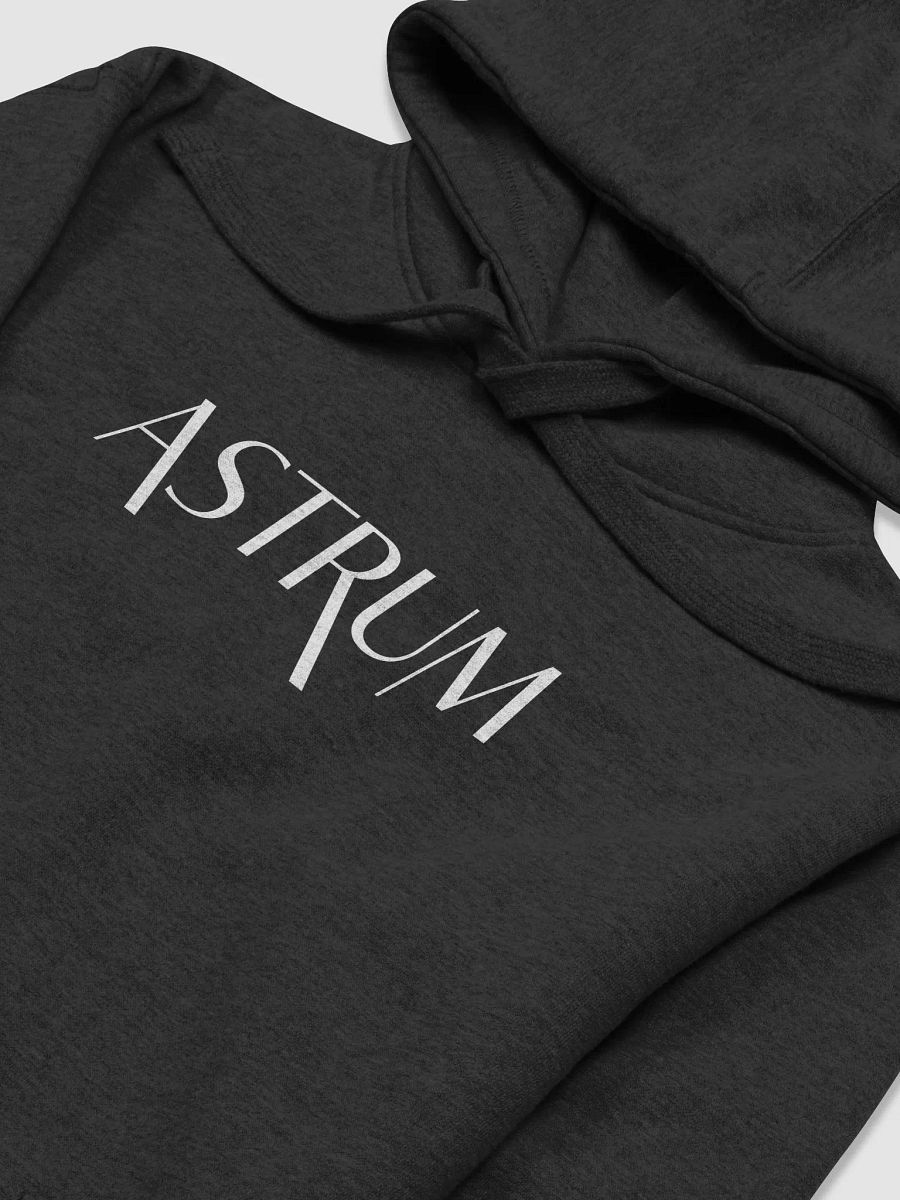 Astrum Logo | Unisex Hoodie product image (4)