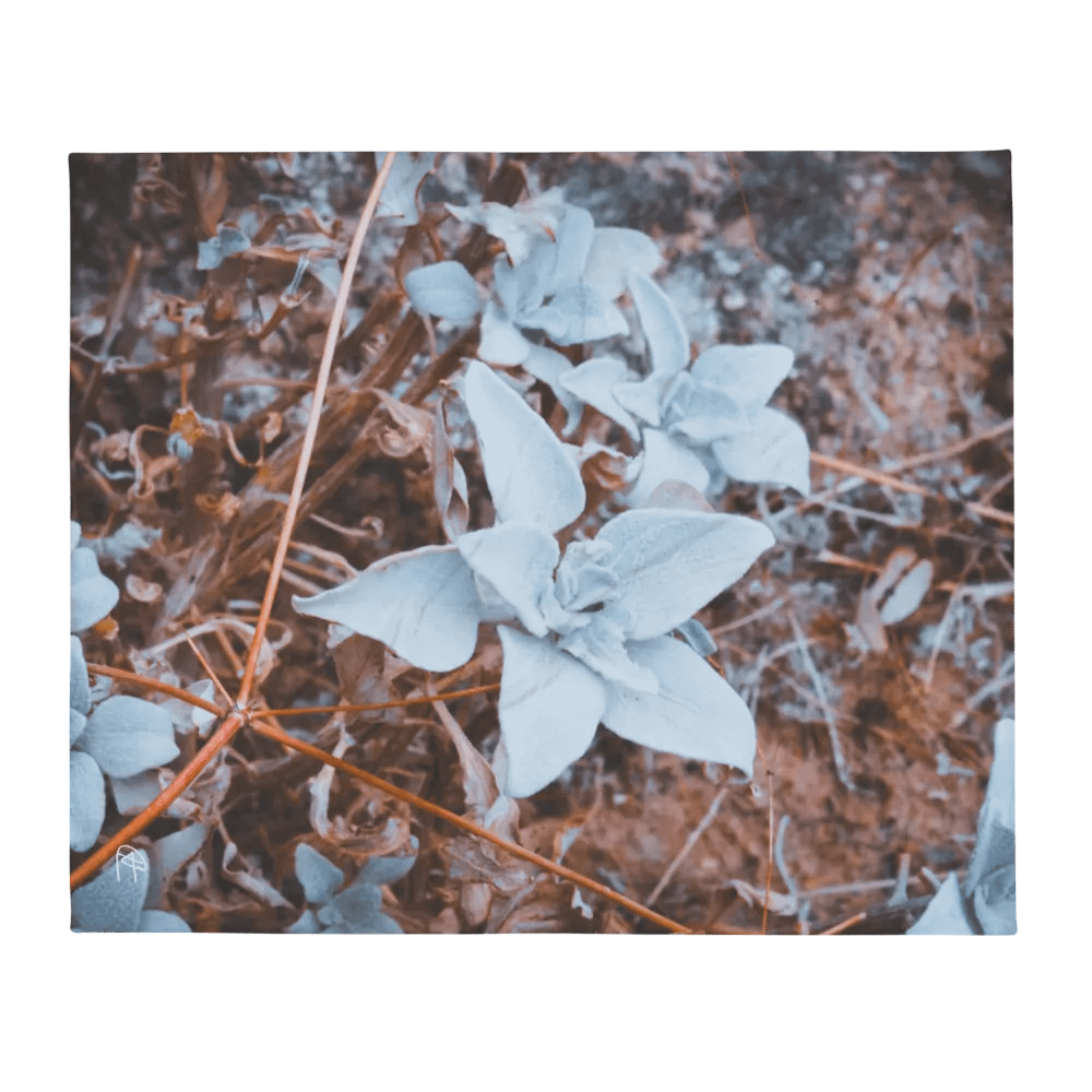 Soft Green Desert Flower Throw Blanket product image (1)