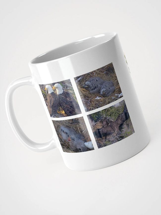Limited Time - Captiva Eagle Cam 2024-2025 Merch