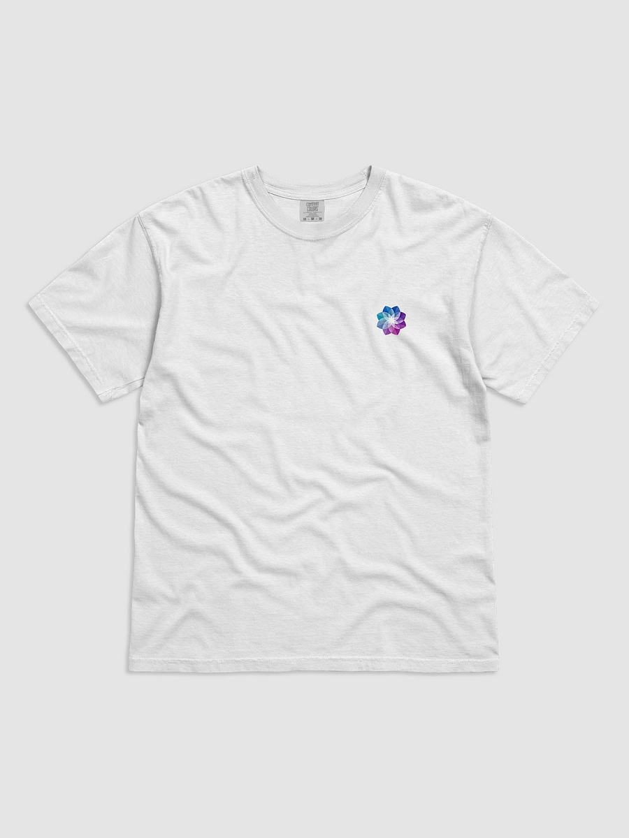 1StellarLife Heavyweight T-Shirt product image (1)