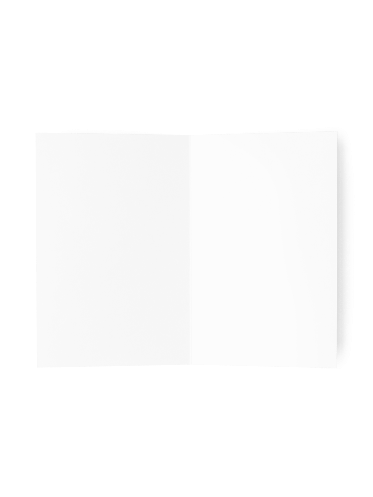 Santa product image (5)