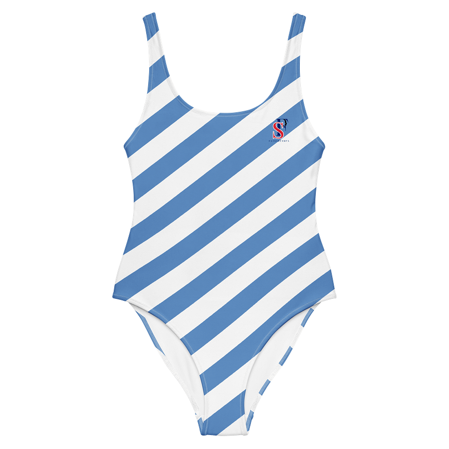 Sleek Stripes OPA All-Over Swimsuit product image (7)