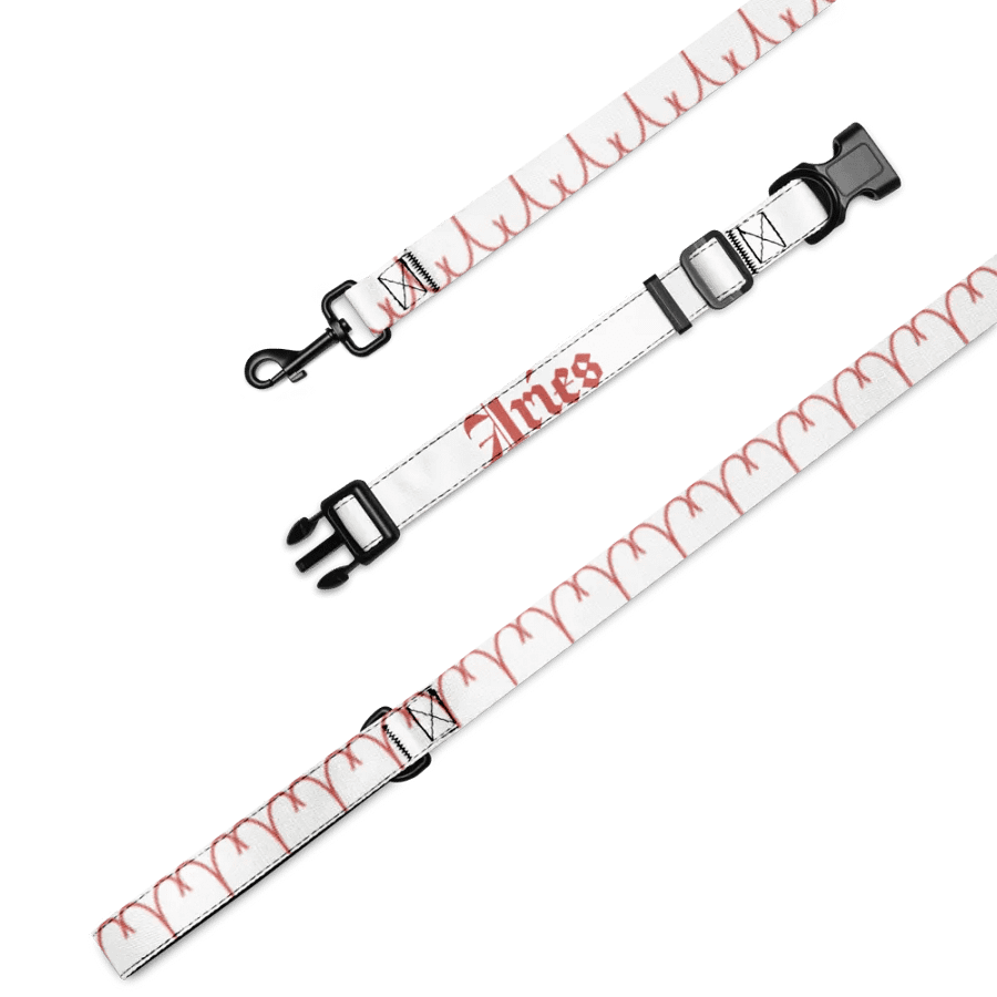 Aries Red Pet Collar & Leash Set product image (4)
