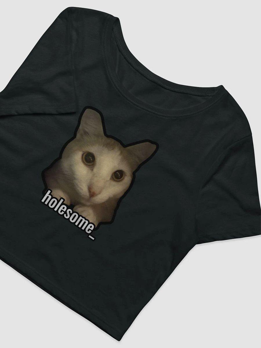 holesome Nico crop top product image (3)