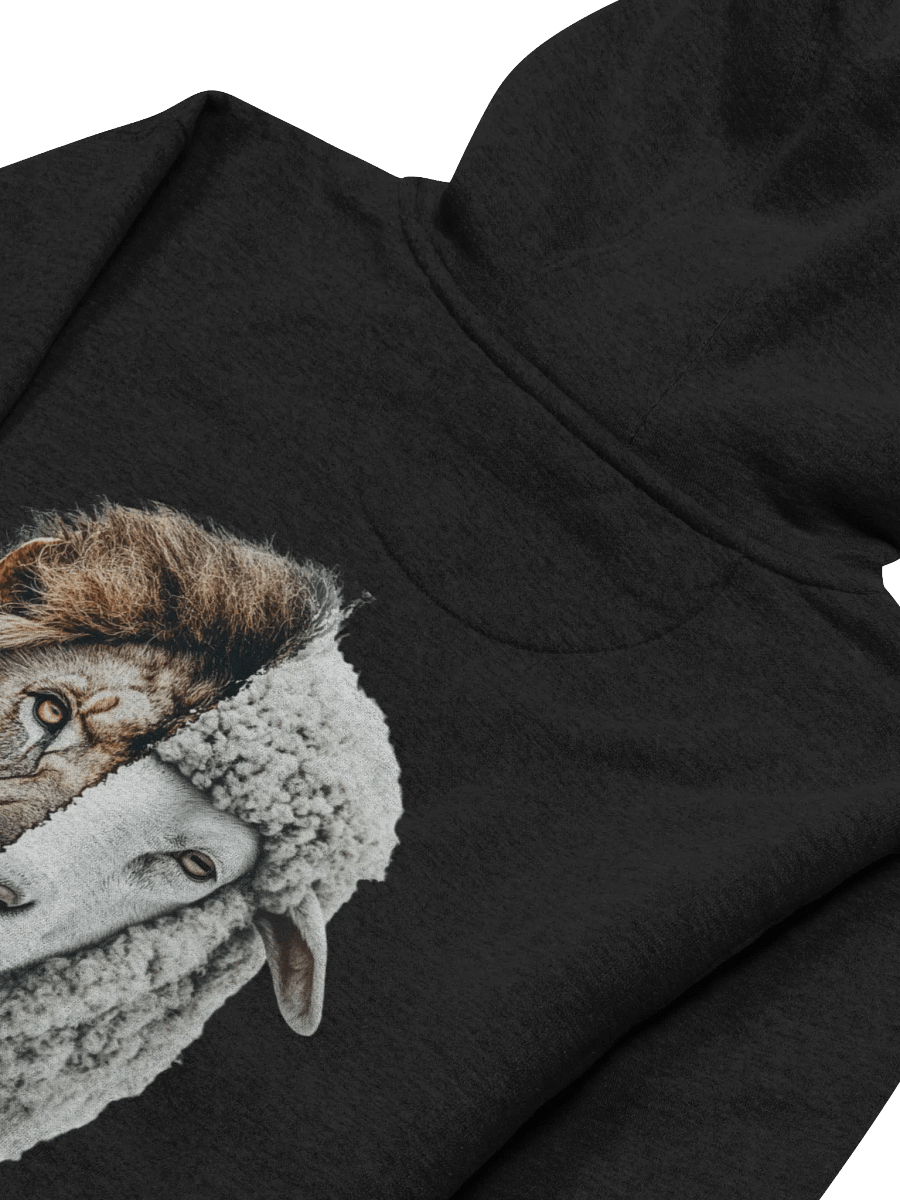 SBG Black Hoodie product image (4)