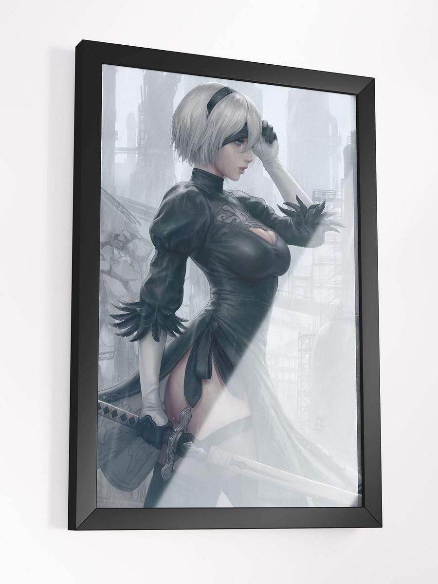 2B - Framed product image (2)