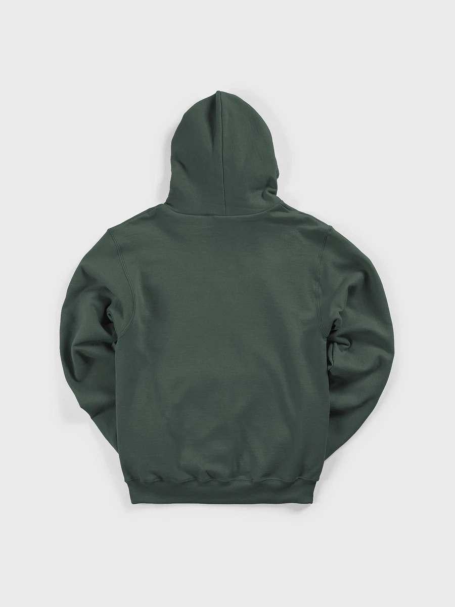 Rare DGR Logo Hoodie - Heather Forest product image (3)