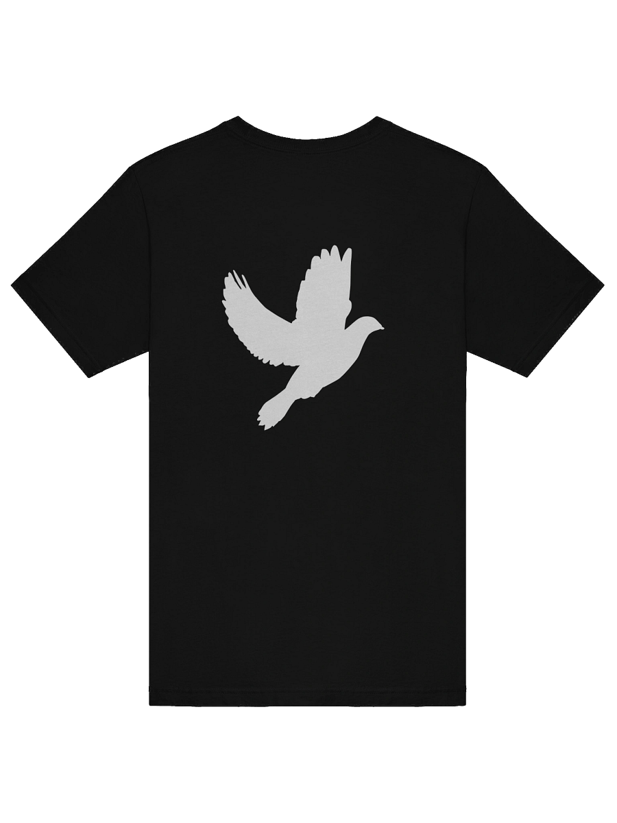 Woman of God Premium T-Shirt product image (6)
