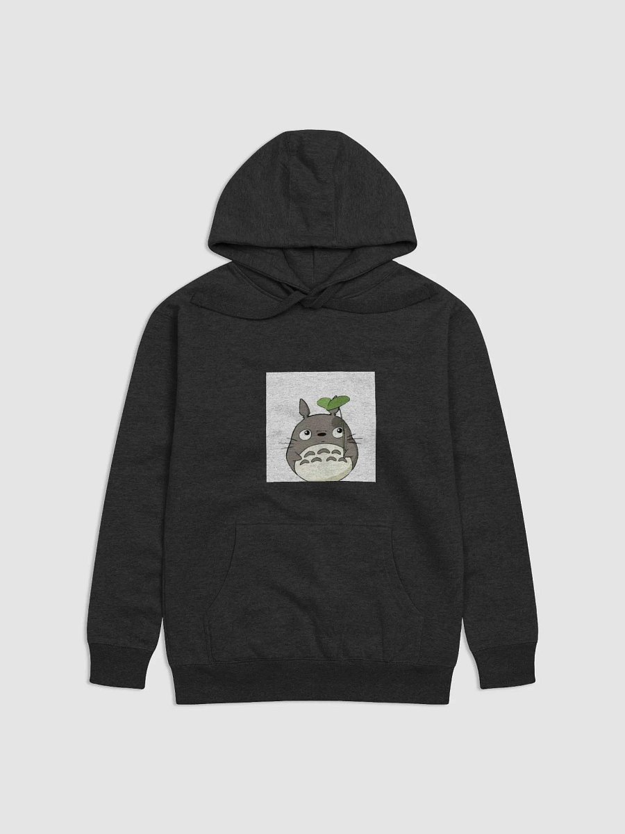 totoro hoodie product image (1)
