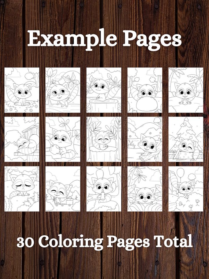 Raccoon Printable Coloring Pages for Kids product image (2)