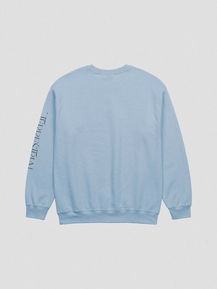BE KIND Pastels Sweatshirt product image (5)