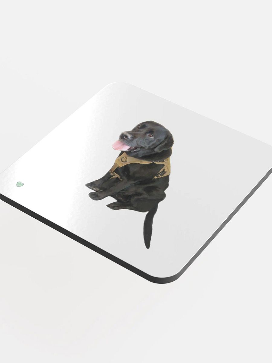 Shadow Coaster product image (4)