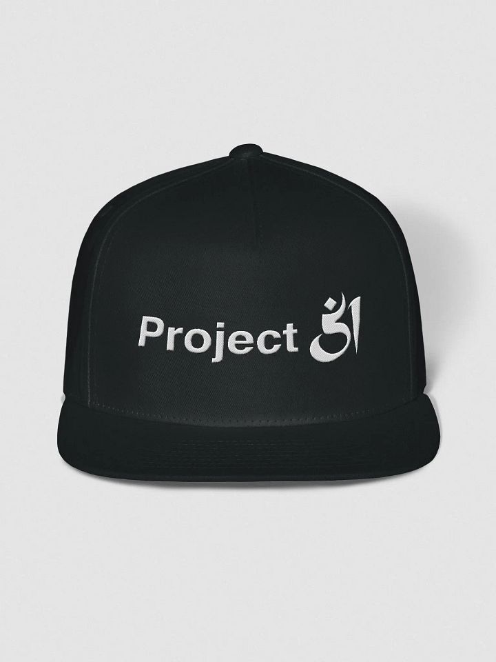 Project 51 snapback product image (1)