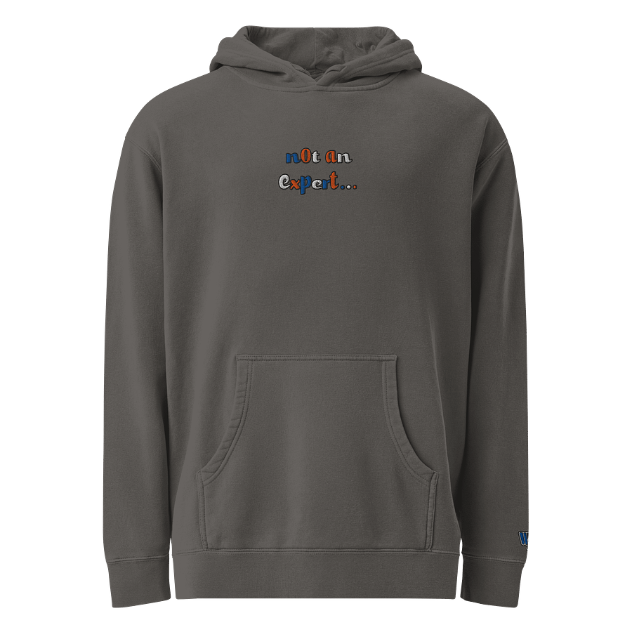 "not an expert..." Official Colour Hoodie product image (1)