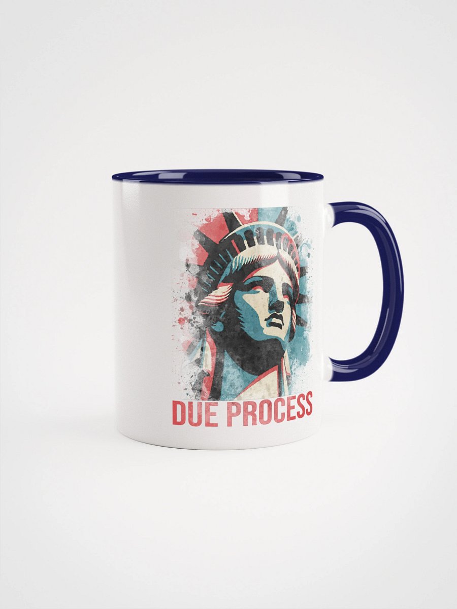 Due Process Liberty Mug - Being Liberal product image (5)