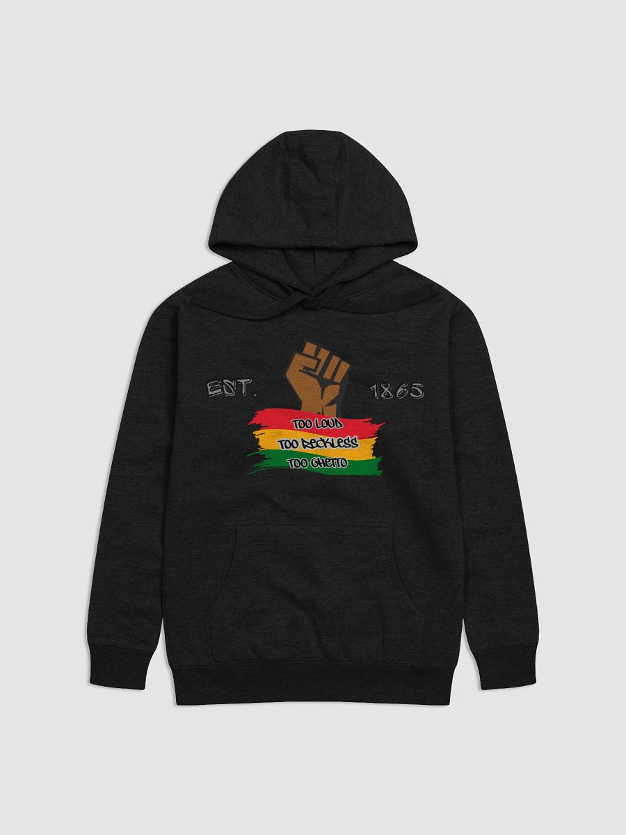 TOO LOUD TOO RECKLESS TOO GHETTO HOODIE 2 product image (1)