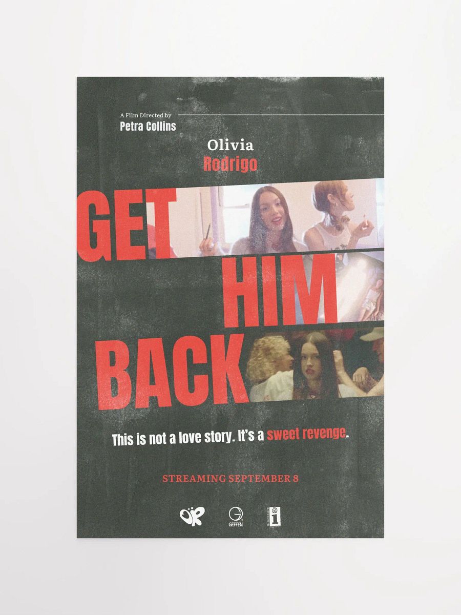 get him back! Poster product image (4)