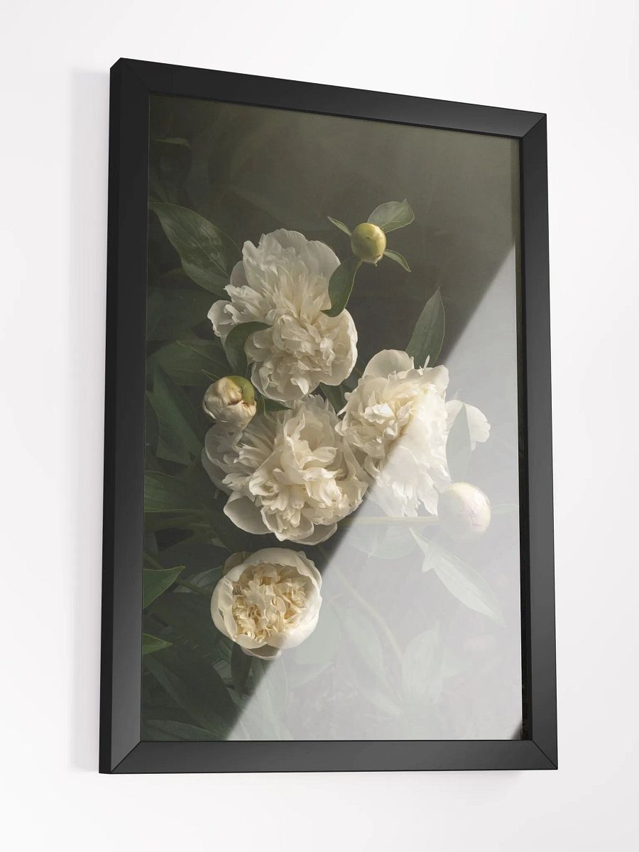 White Peonies product image (3)