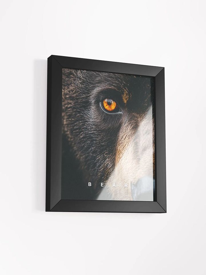 Bear's Eye Matte Poster product image (19)