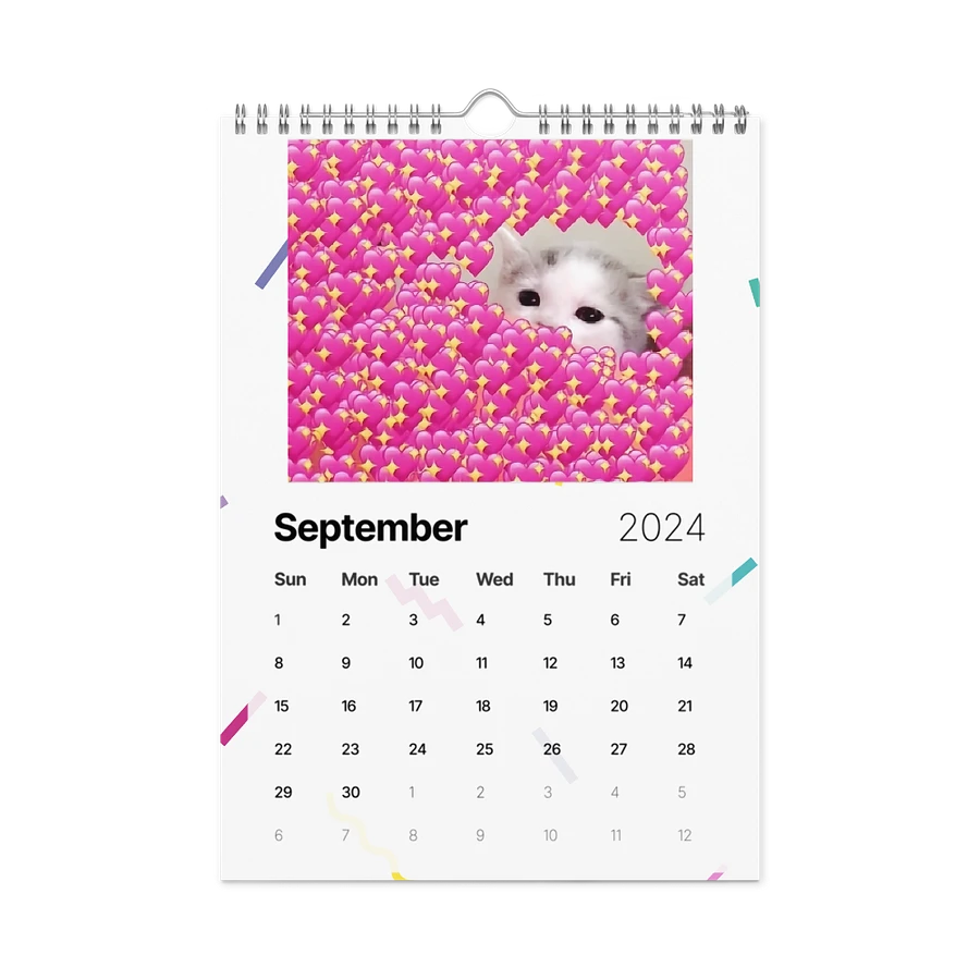 Wall Calendar (2024): Meme Cats product image (18)