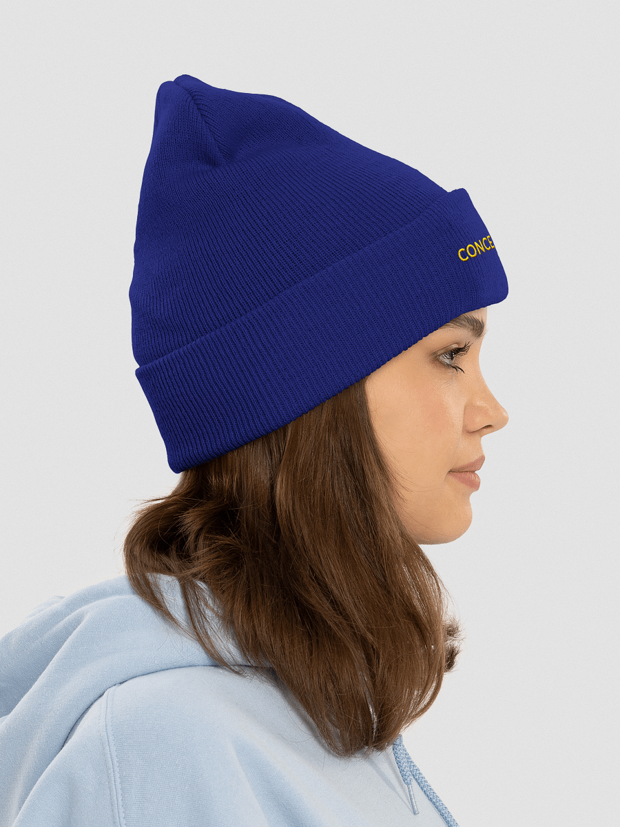 Concert Archives Beanie product image (20)