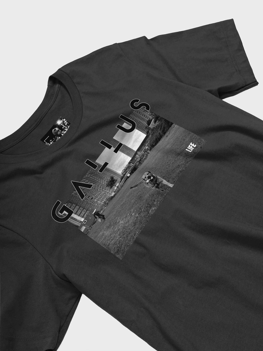 Gallus 2025 Life Collection product image (26)