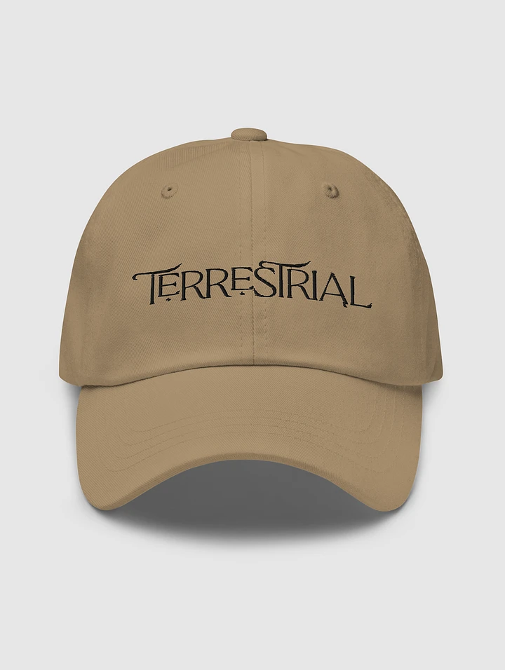 Terrestrial Logo Hat product image (1)