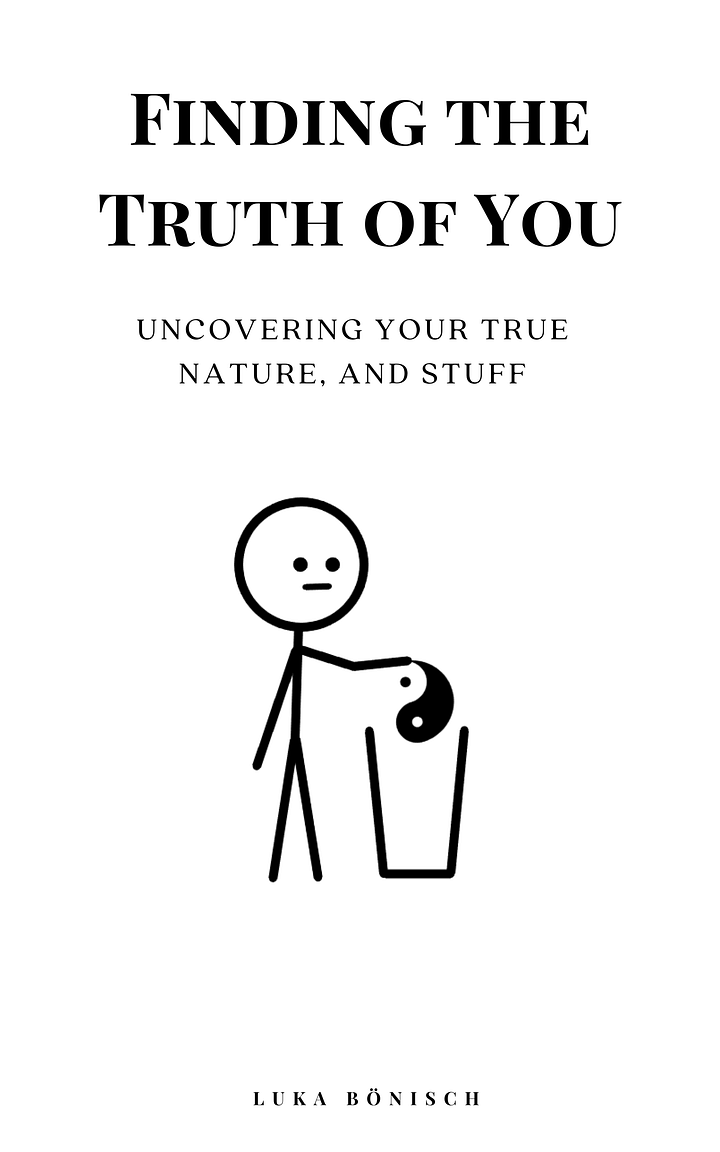Finding the Truth of You: Uncovering Your True Nature, And Stuff product image (1)