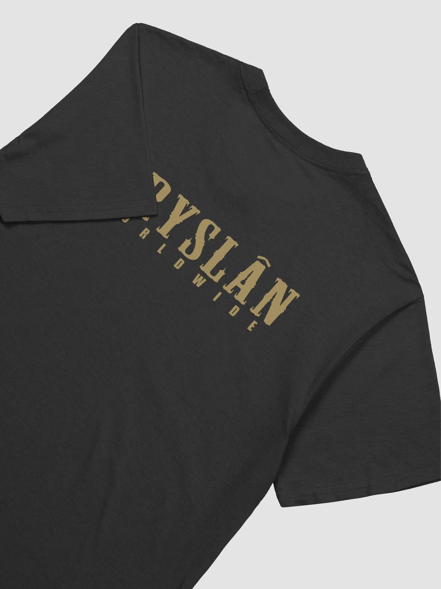 Fryslân Worldwide Horse - Shirt product image (4)