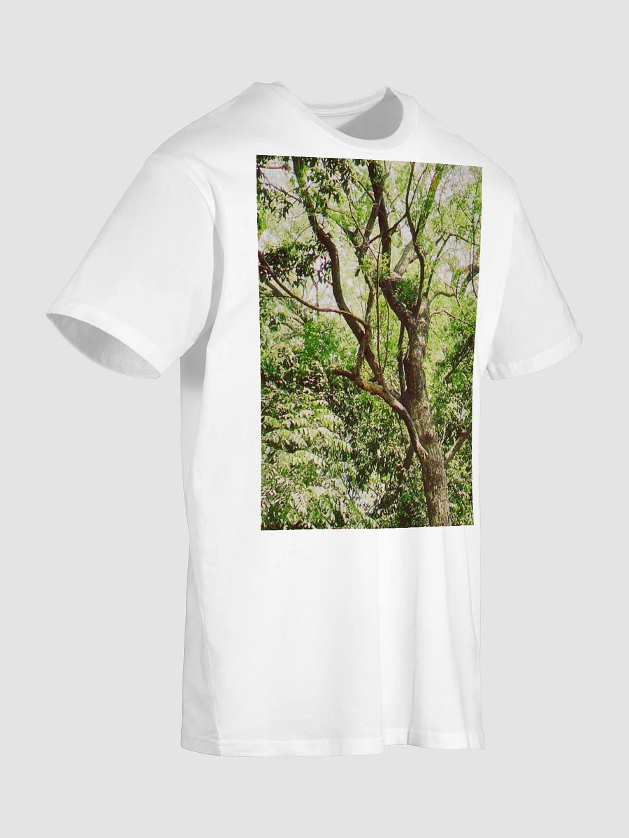 EARTH TONE DIVINE MUSIC TEE product image (7)