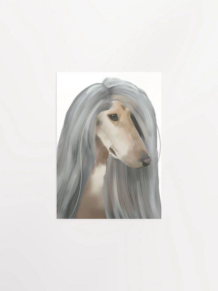 Afghan Hound product image (1)