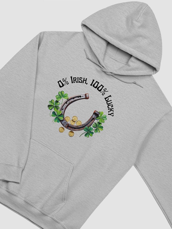 Lucky Horseshoe Classic Hoodie product image (22)