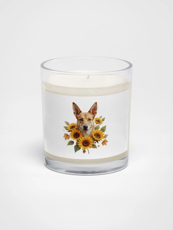 Potcake & Sunflowers product image (1)