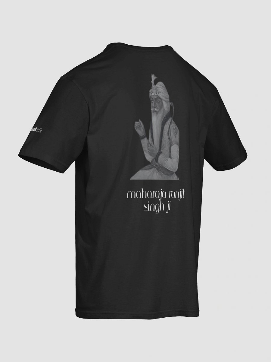 Sikh Warriors: A Akal Crew Collection - Maharaja Ranjit Singh Ji product image (8)