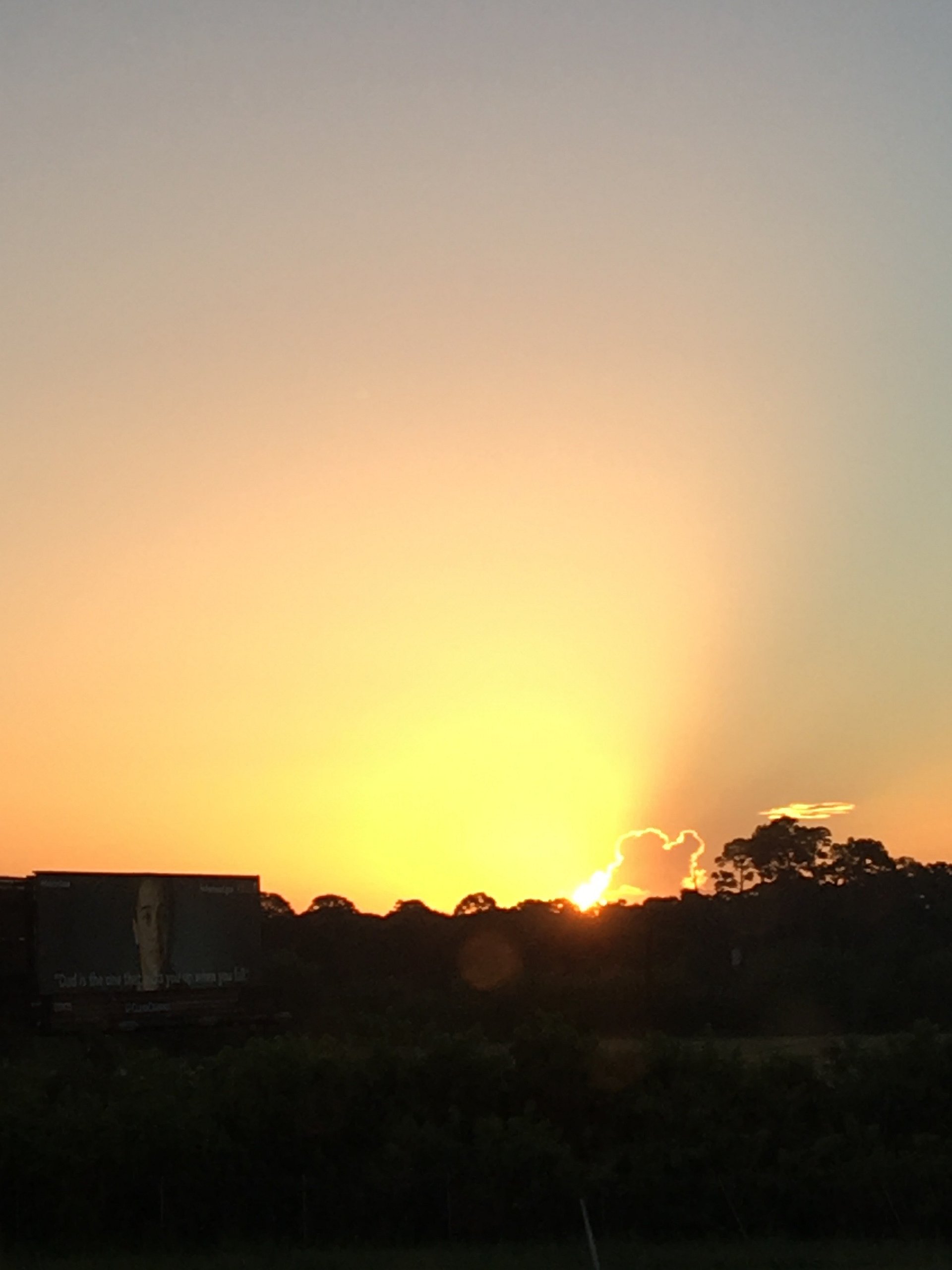 Digital Sunsets product image (1)