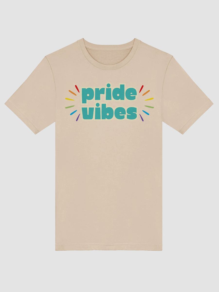 Pride Vibes T-Shirt product image (53)
